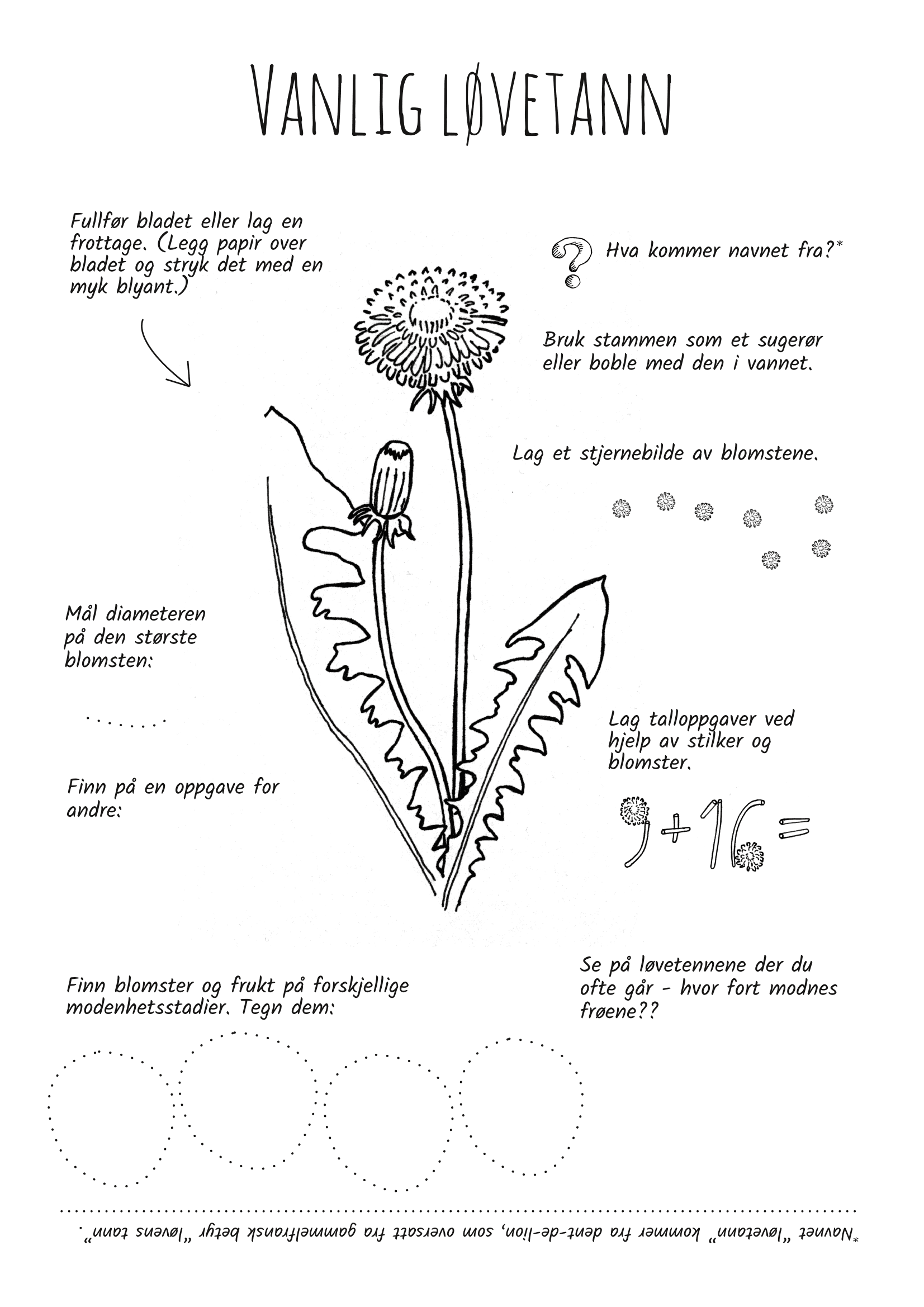 UTFORSK PLANTER! - Bilde 7