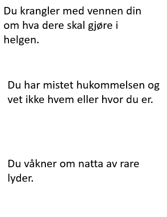 Muntlige aktiviteter BM NN og E - Bilde 3