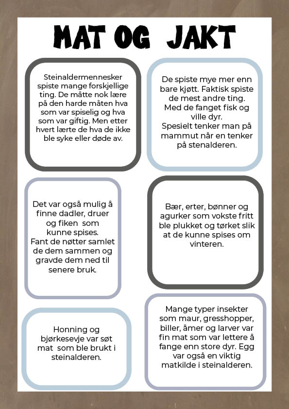 Mitt hefte om Steinalderen - Bilde 4