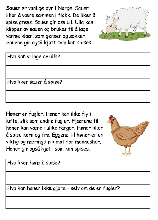 Husdyr - dyr på bondegården - Bilde 2