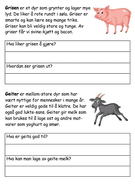 Husdyr - dyr på bondegården - Bilde 3