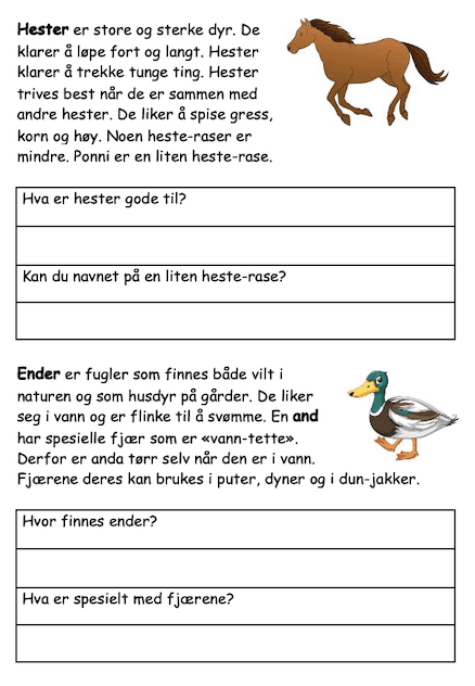 Husdyr - dyr på bondegården - Bilde 4