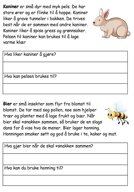 Husdyr - dyr på bondegården - Bilde 5