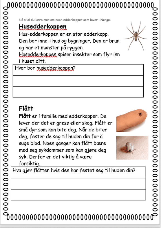 Dyregrupper i Norge - Bilde 7