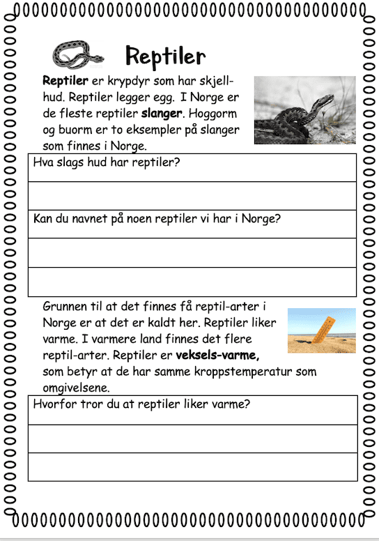 Dyregrupper i Norge - Bilde 8