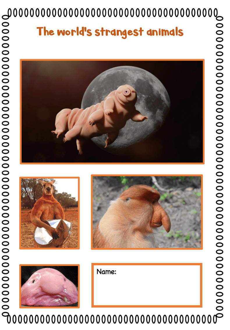 The world's strangest animals