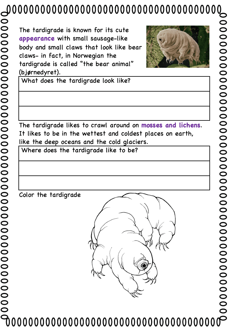 The world's strangest animals - Bilde 3