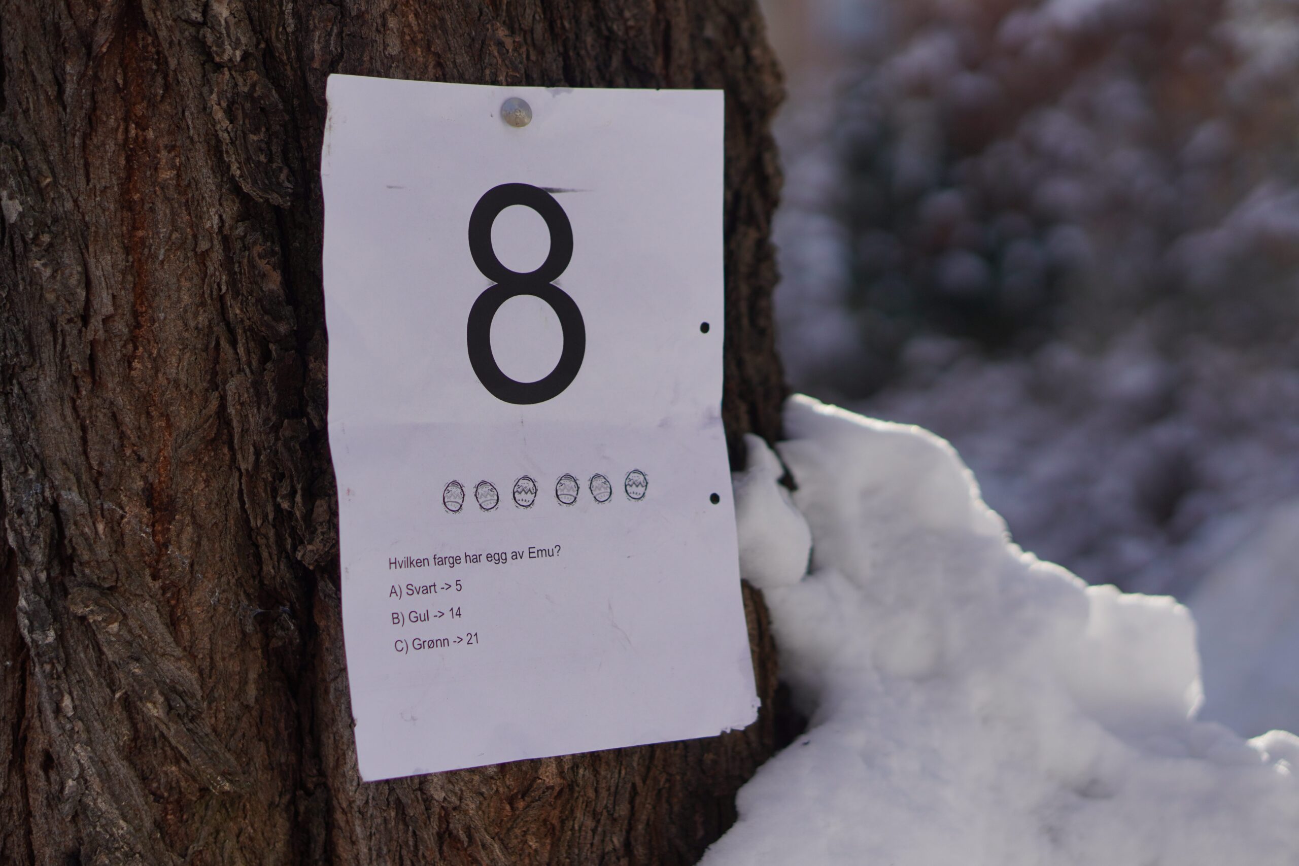 Løpequiz - PÅSKE - Bilde 6