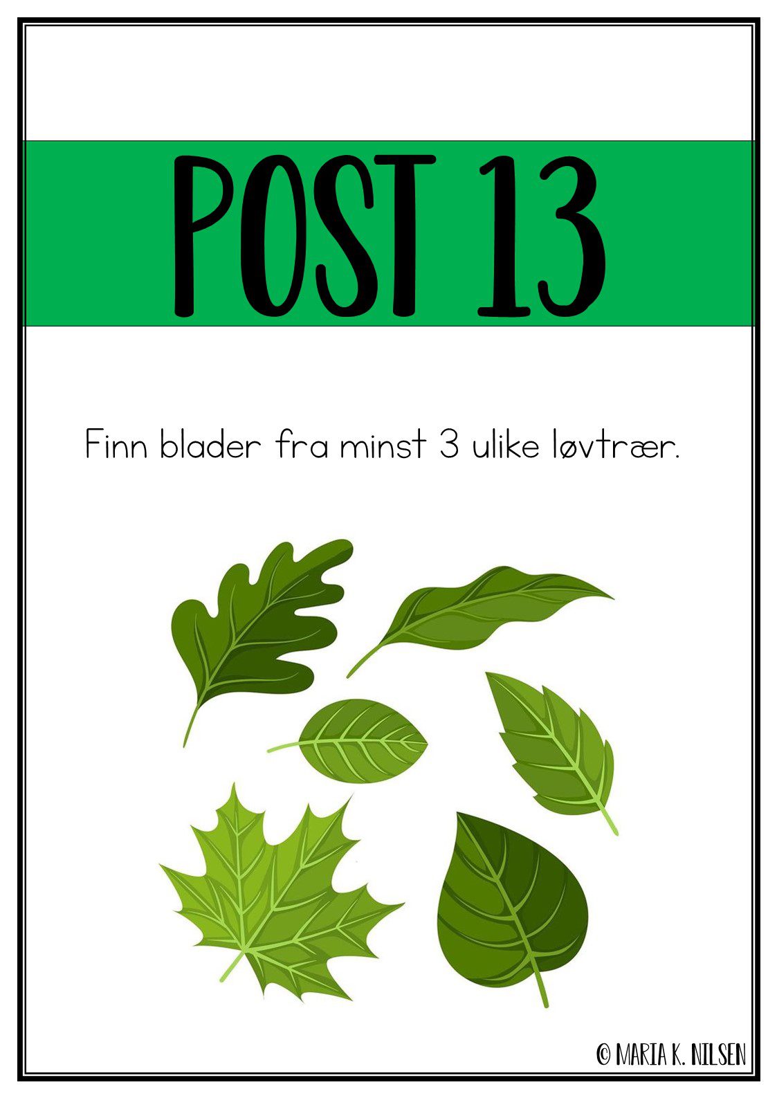 Natursti - skogen - Bilde 5