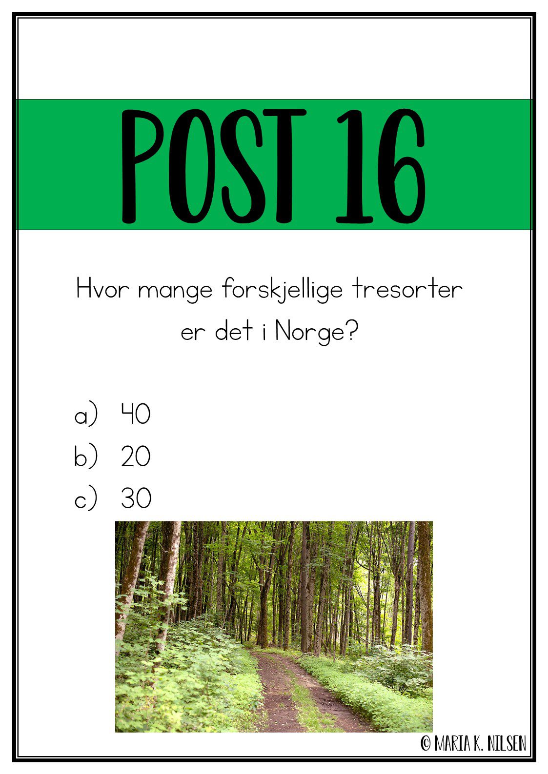 Natursti - skogen - Bilde 6