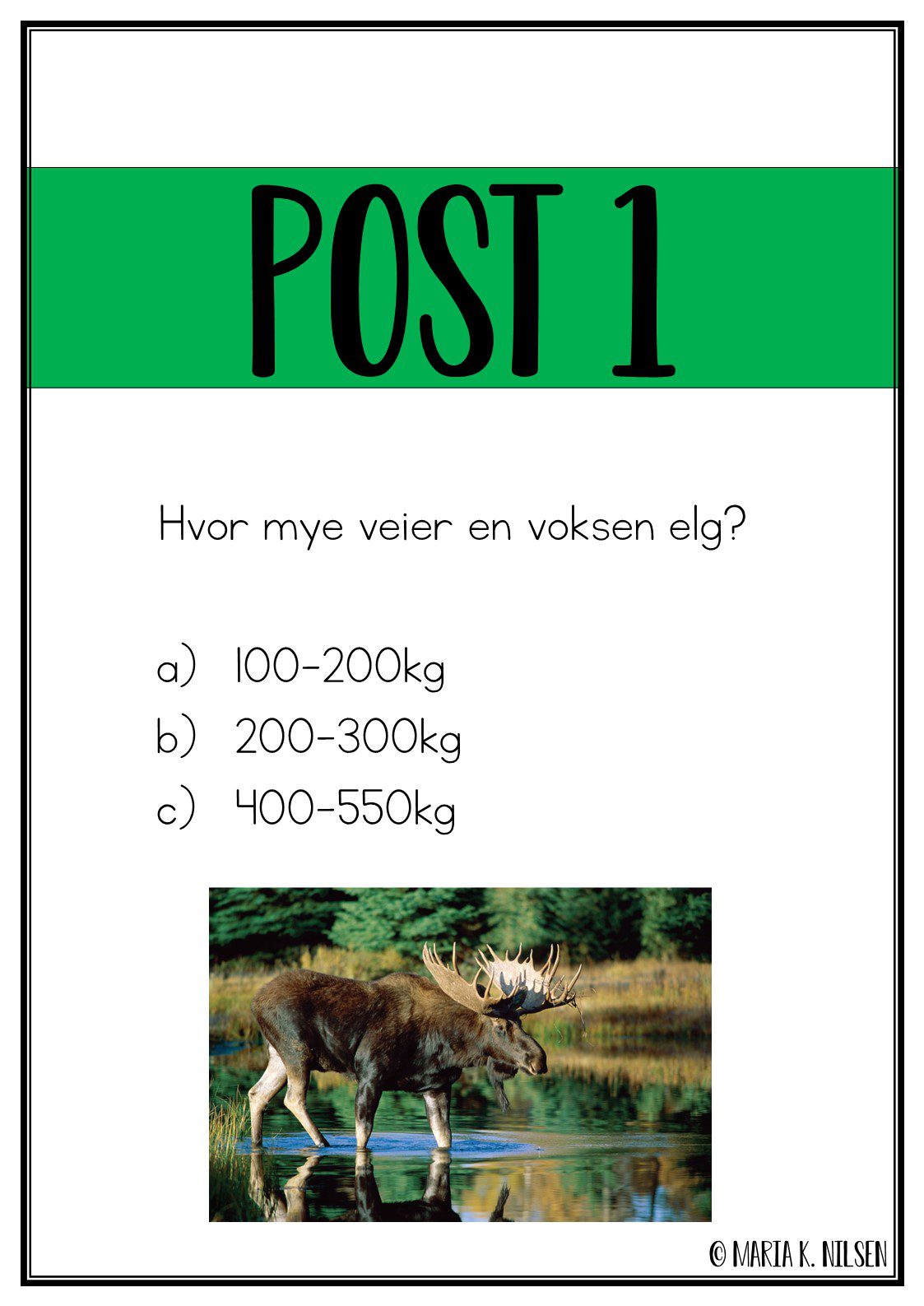 Natursti - skogen - Bilde 2
