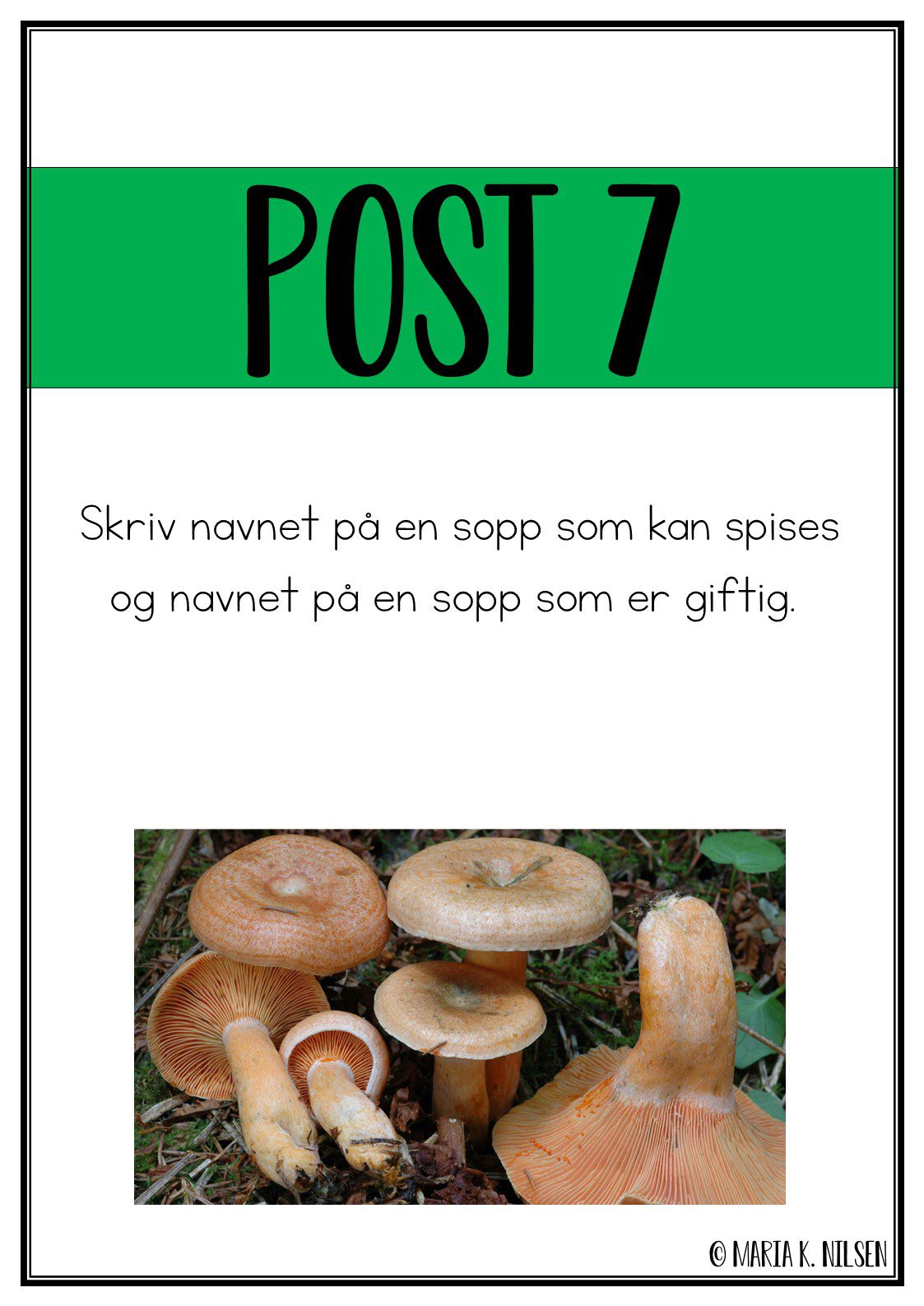 Natursti - skogen - Bilde 4