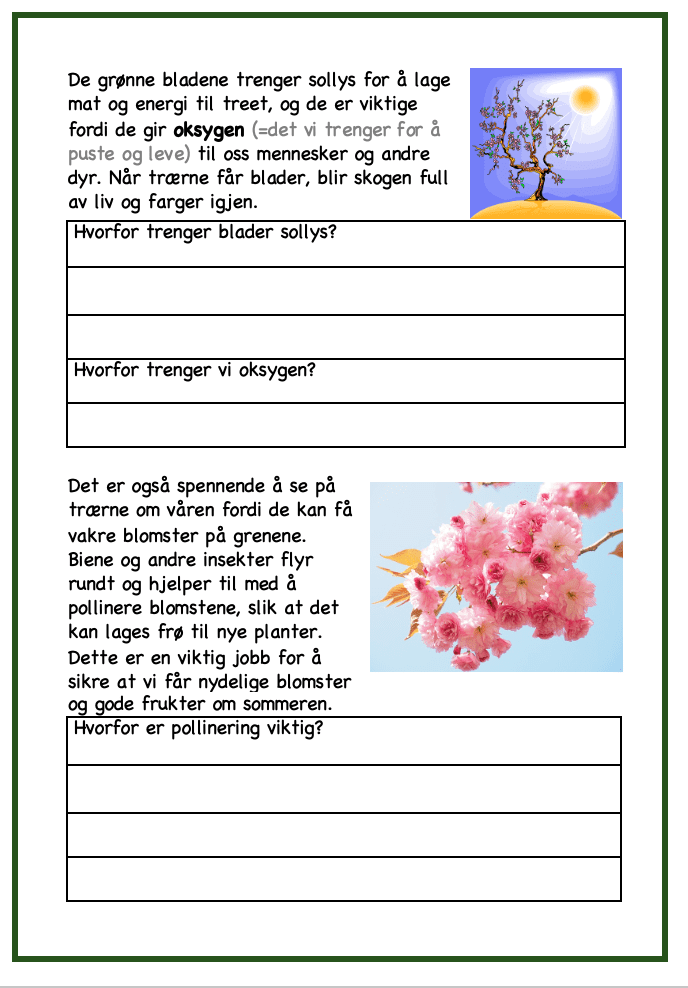 Det er vår! - Bilde 3