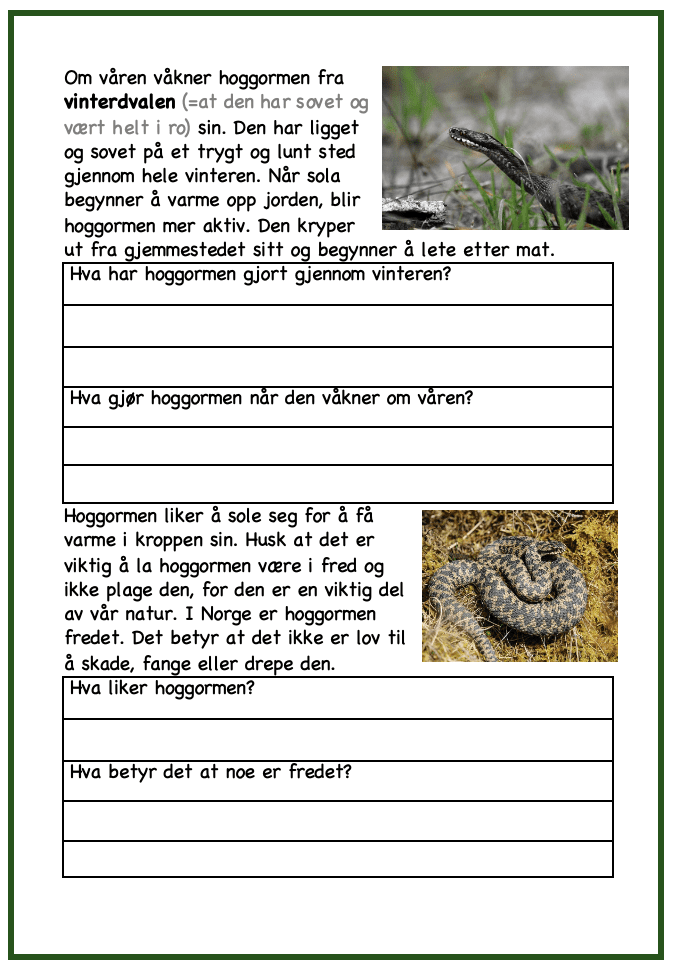 Det er vår! - Bilde 4