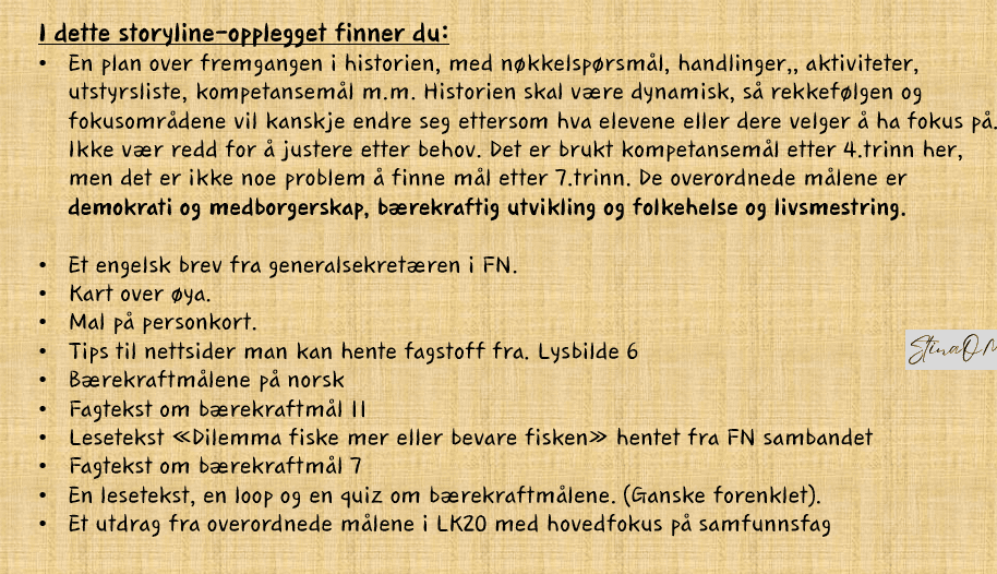 Storyline- bygg et samfunn - Bilde 5