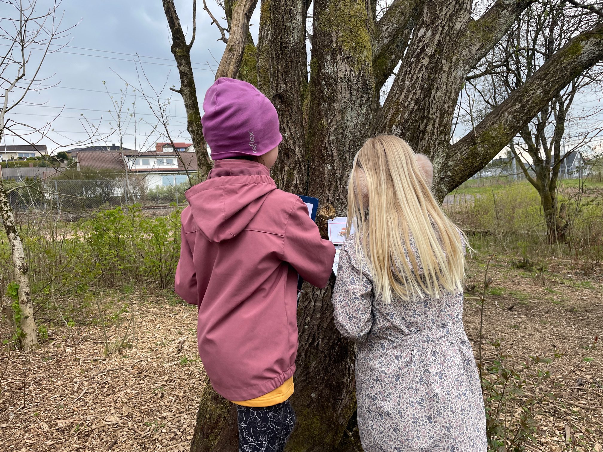 Ordjakt ng/nk - finskrift uteskole - Bilde 4