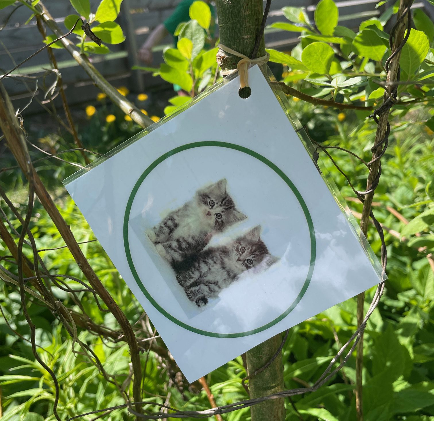 Ordjakt dobbel konsonant - finskrift uteskole