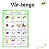 Vår-bingo