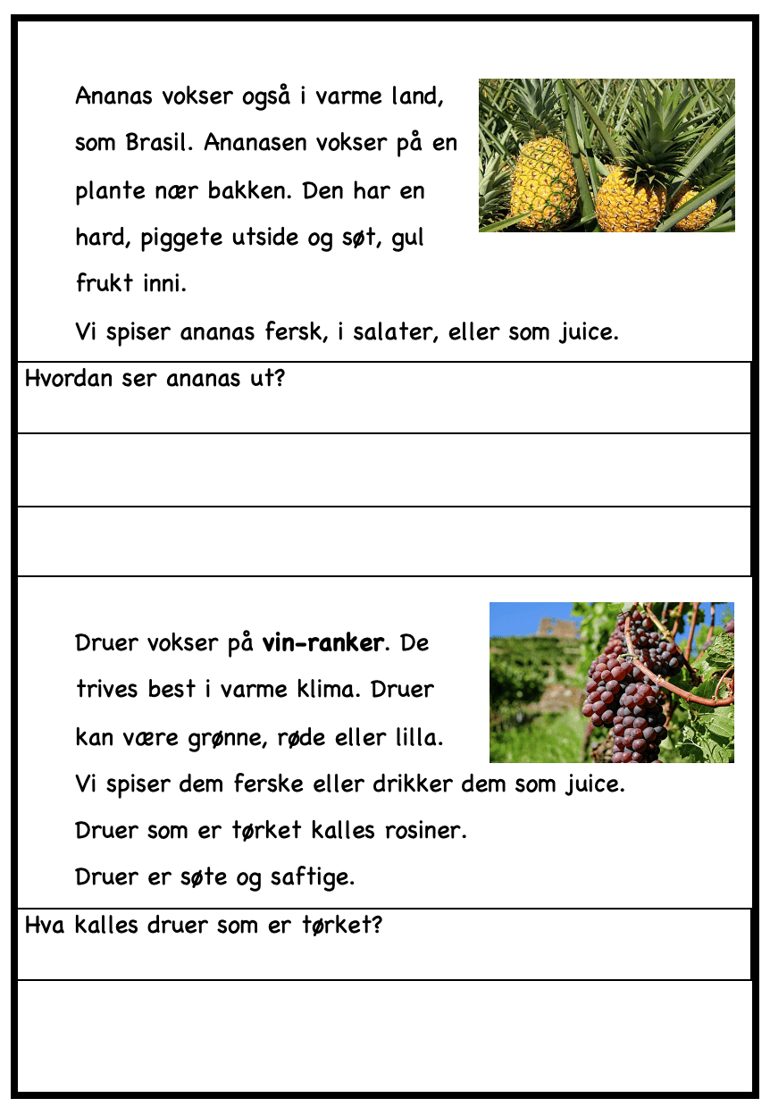 Maten vår - hvor kommer maten vår fra? - Bilde 6