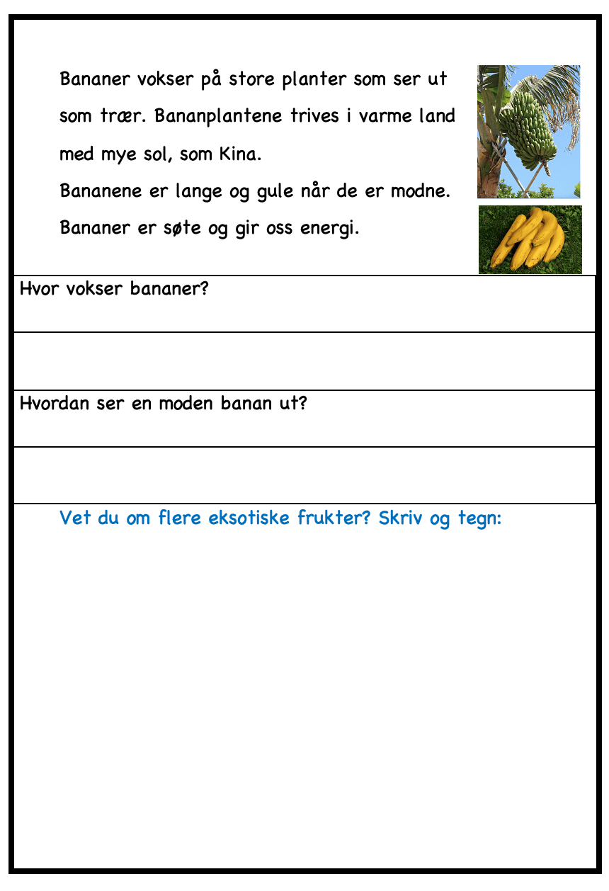 Maten vår - hvor kommer maten vår fra? - Bilde 5