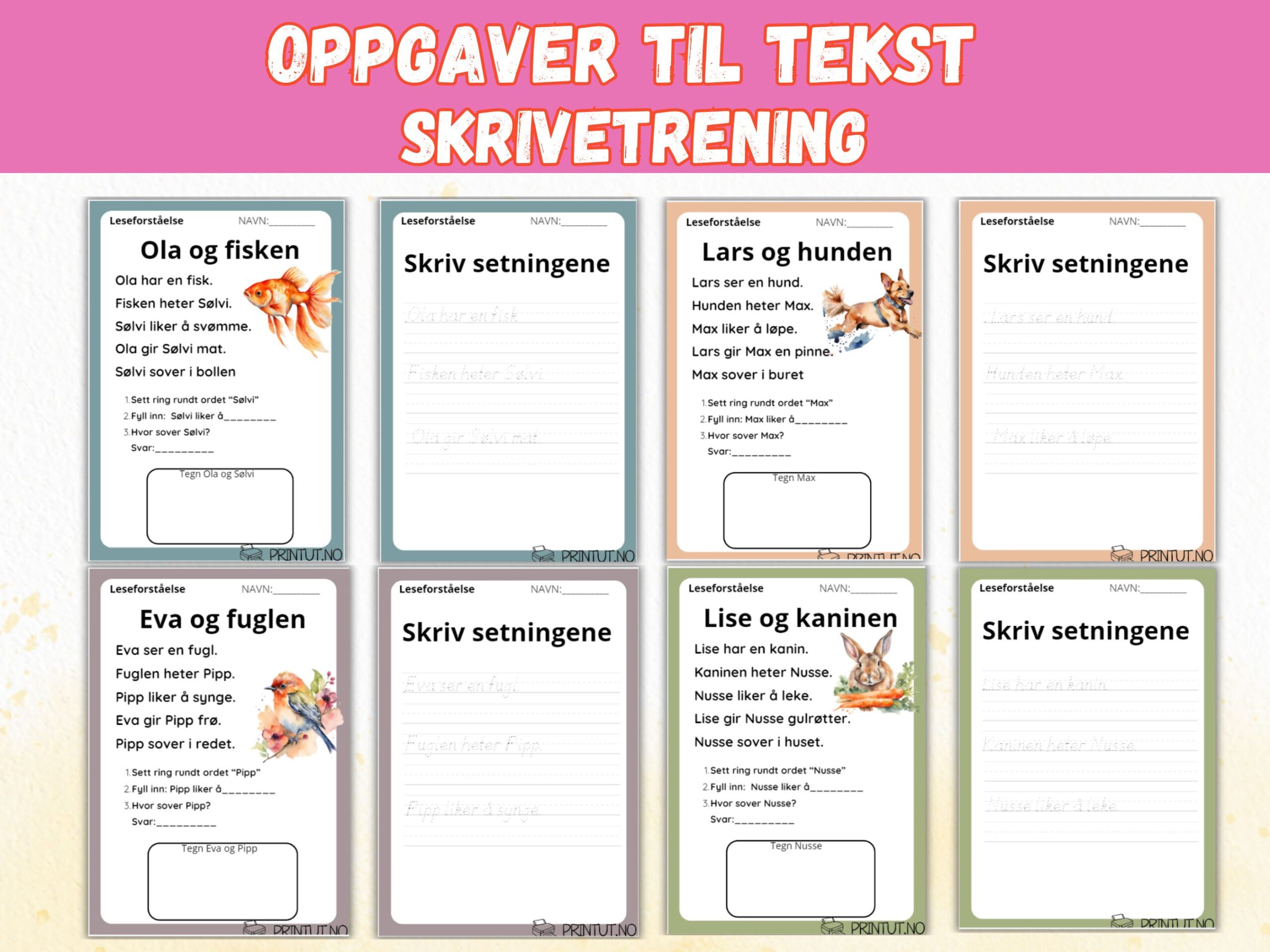 SAMLEPAKKE - lesetrening - 20 tekster/40 sider! - Bilde 2