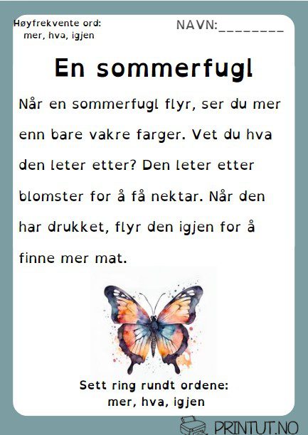 Les og øv på høyfrekvente ord/ Samlepakke - Bilde 2