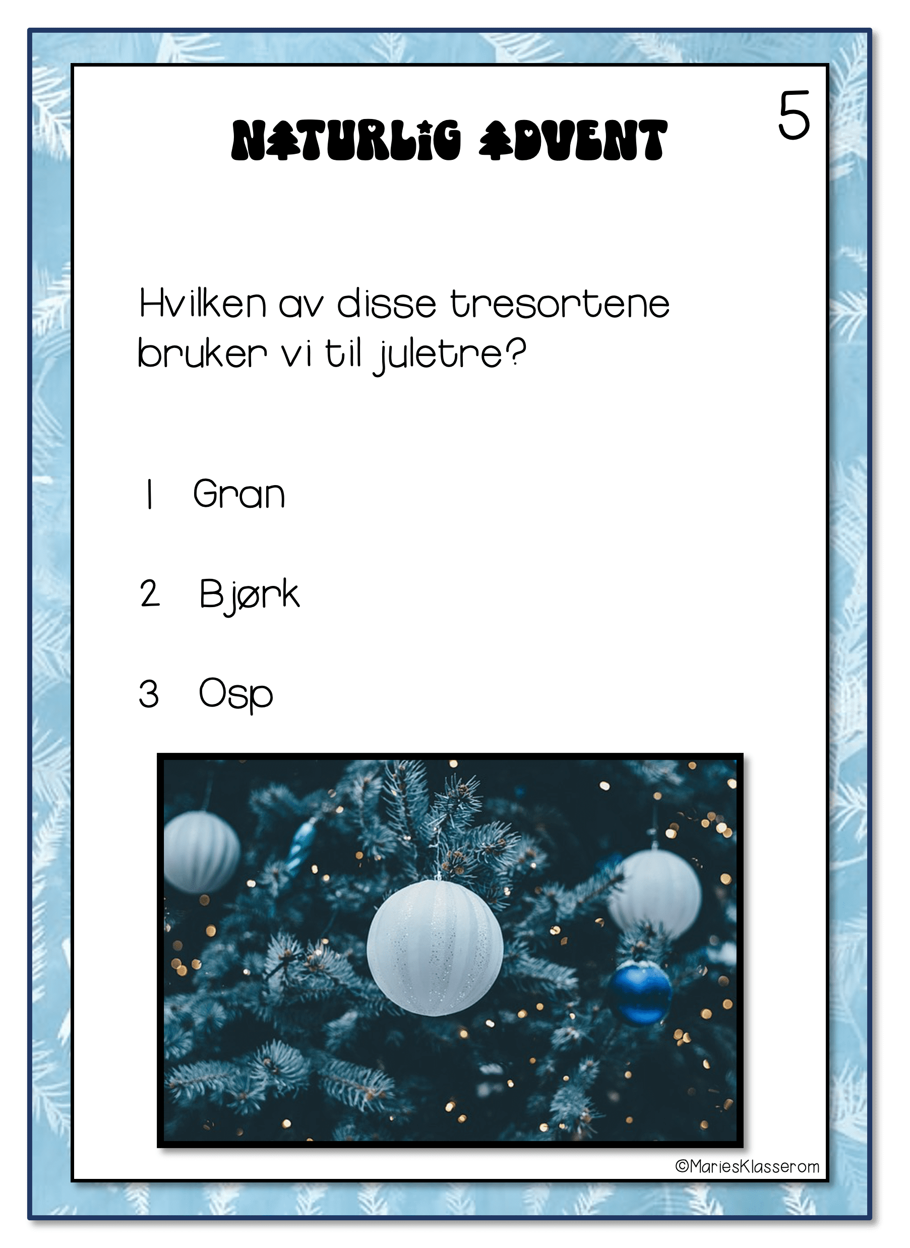 NATURSTI: Naturlig advent - Bilde 2
