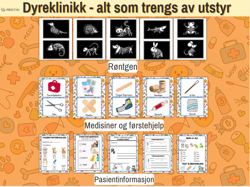 Rollespill Dyreklinikk - Bilde 3