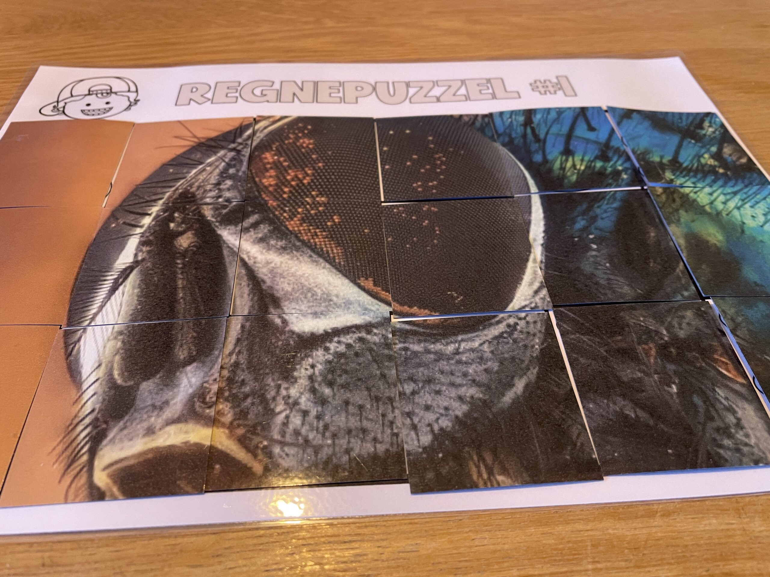 REGNEPUZZEL 3 multiplikasjon og divisjon - Bilde 3