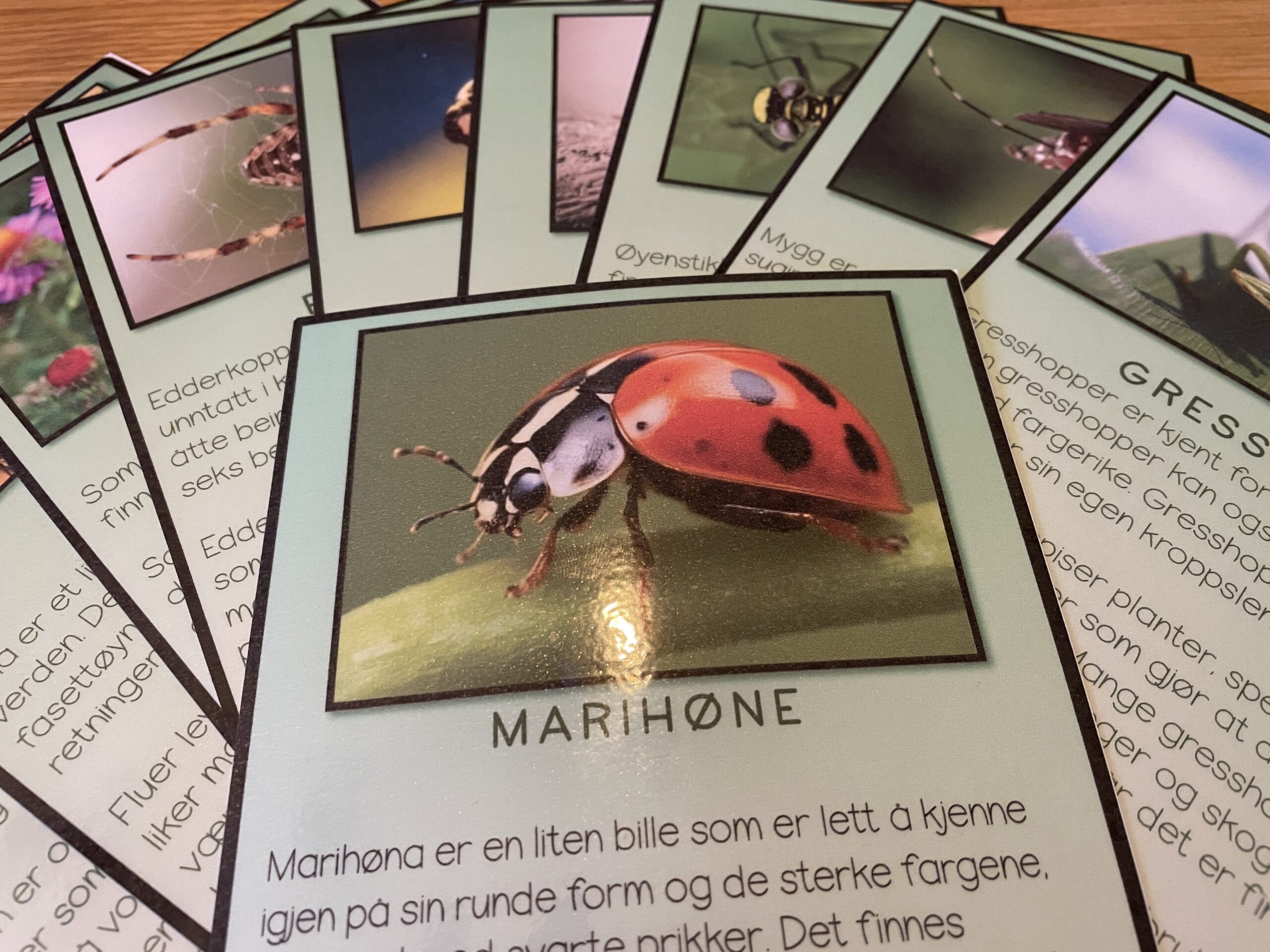 REGNEPUZZEL 3 multiplikasjon og divisjon - Bilde 11