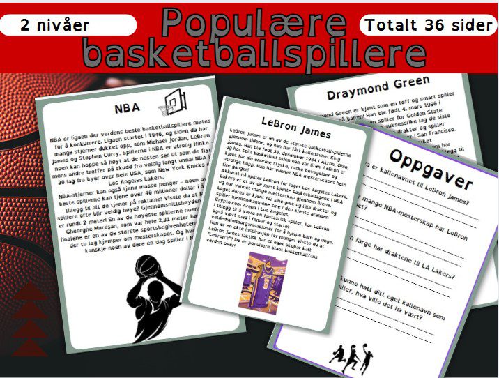 Leseforståelse basketball