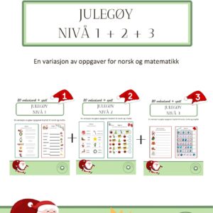 Julegøy nivå 1, 2 & 3