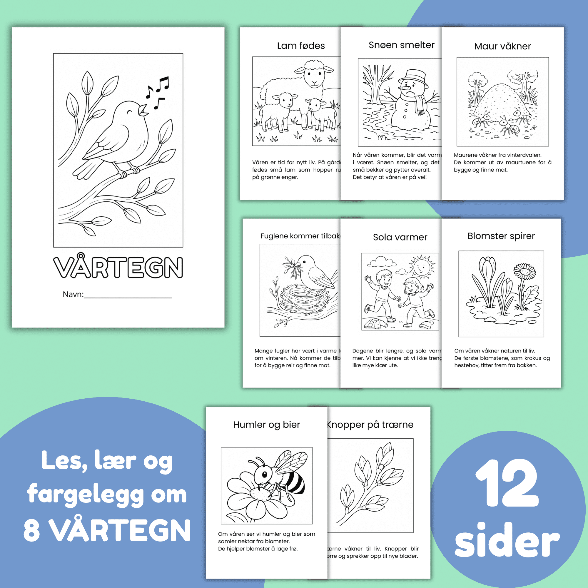 Vårtegn 1.-3. trinn