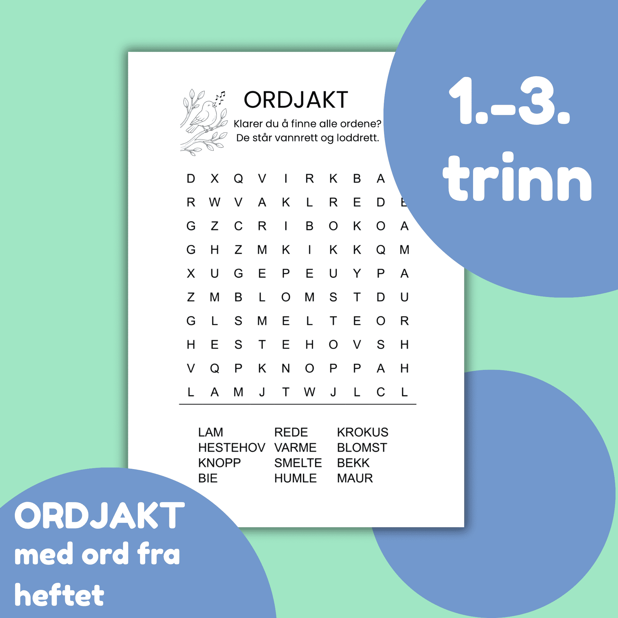 Vårtegn 1.-3. trinn - Bilde 3