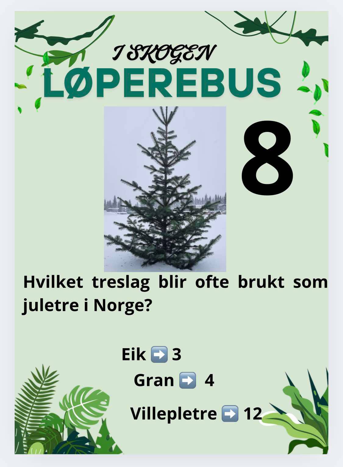 Løperebus i skogen - Norske trær - Bilde 13