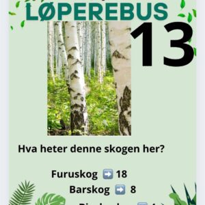 Løperebus i skogen - Norske trær