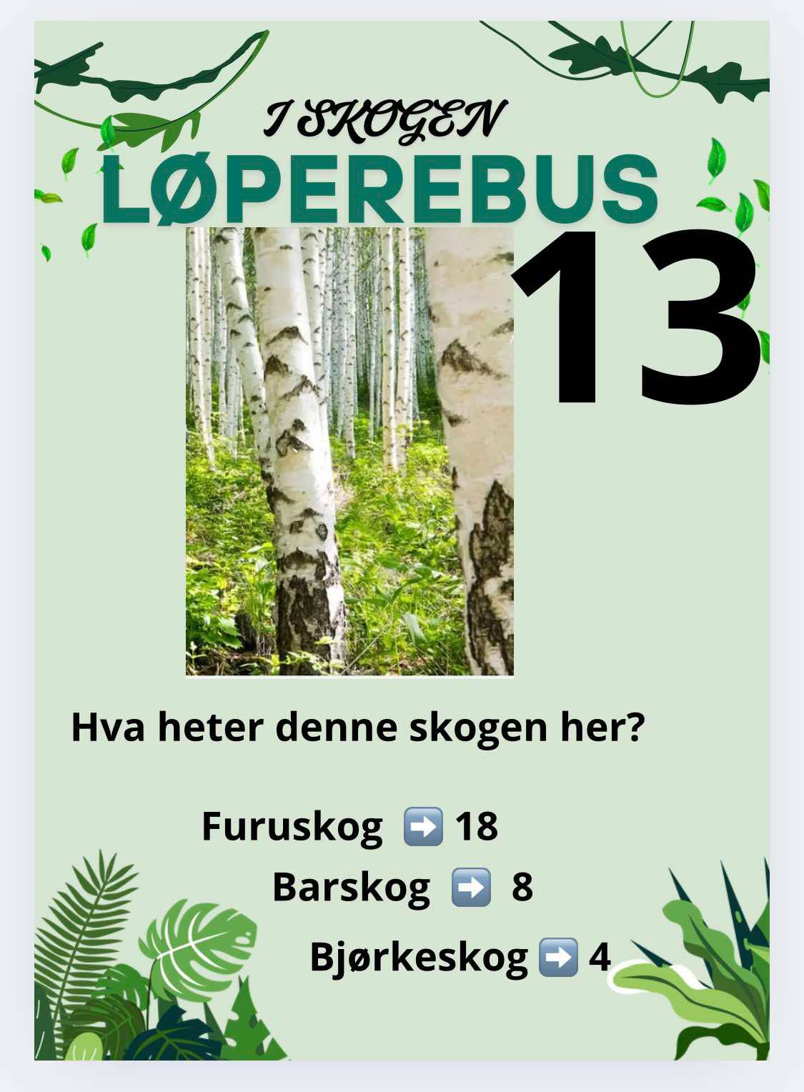 Løperebus i skogen - Norske trær