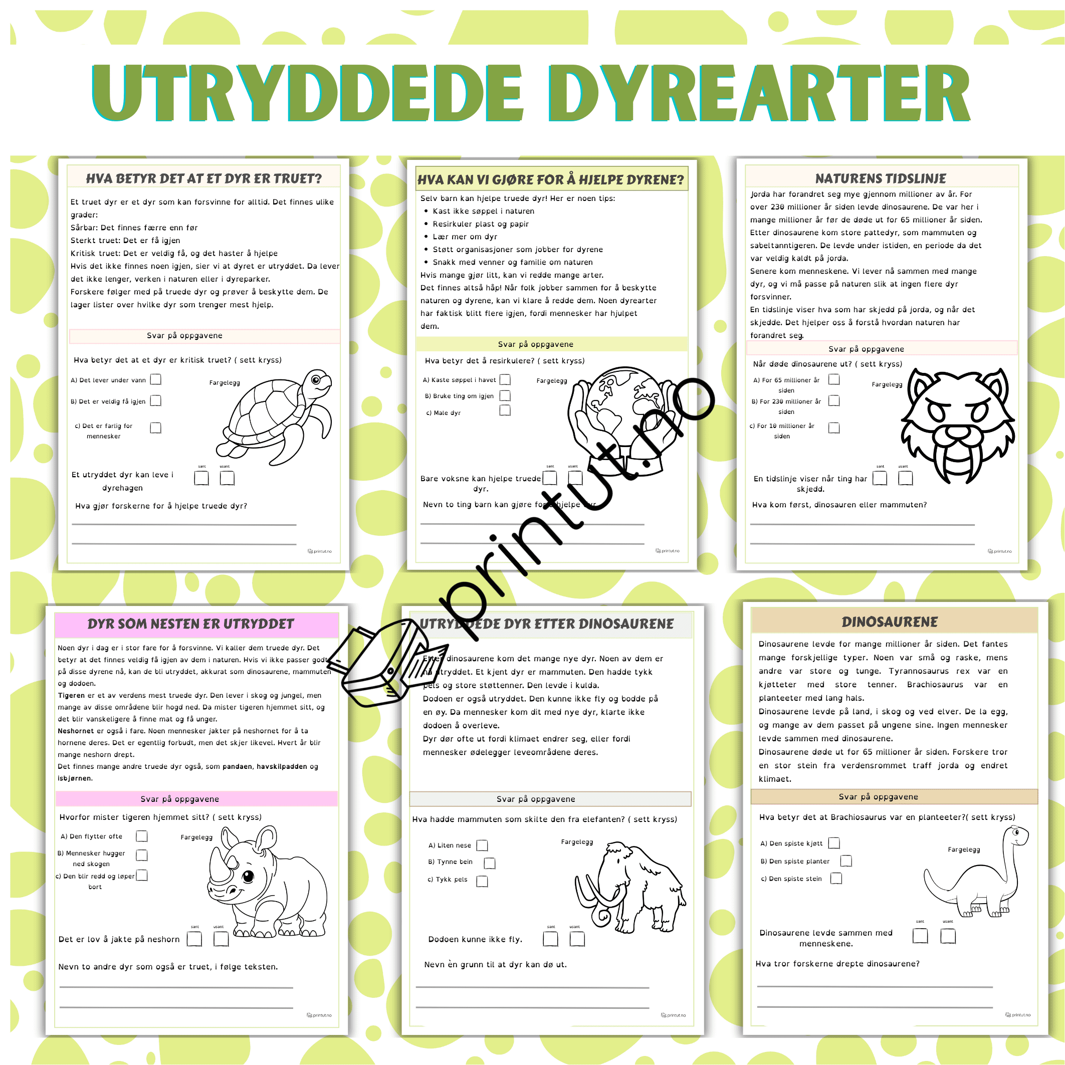 Utryddede dyrearter-les og forstå - Bilde 2