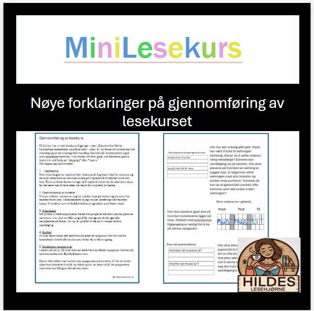 Mini lesekurs - Bilde 4
