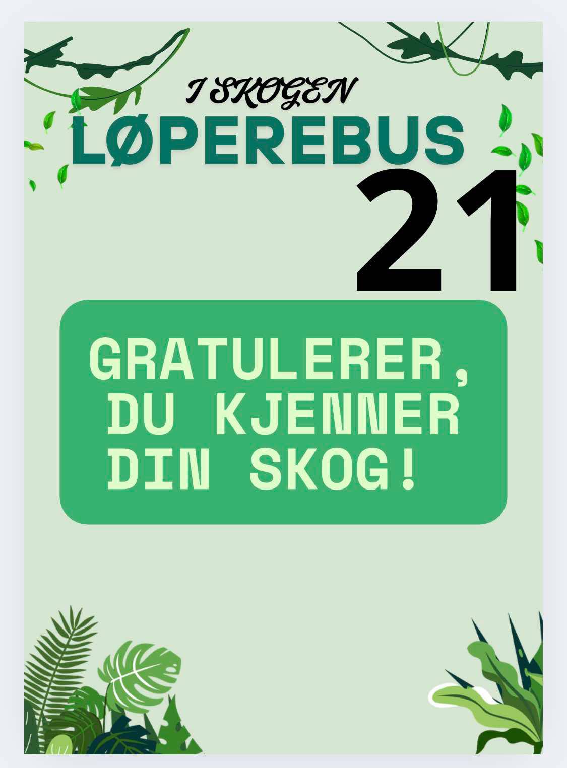 Løperebus i skogen - Norske trær - Bilde 9