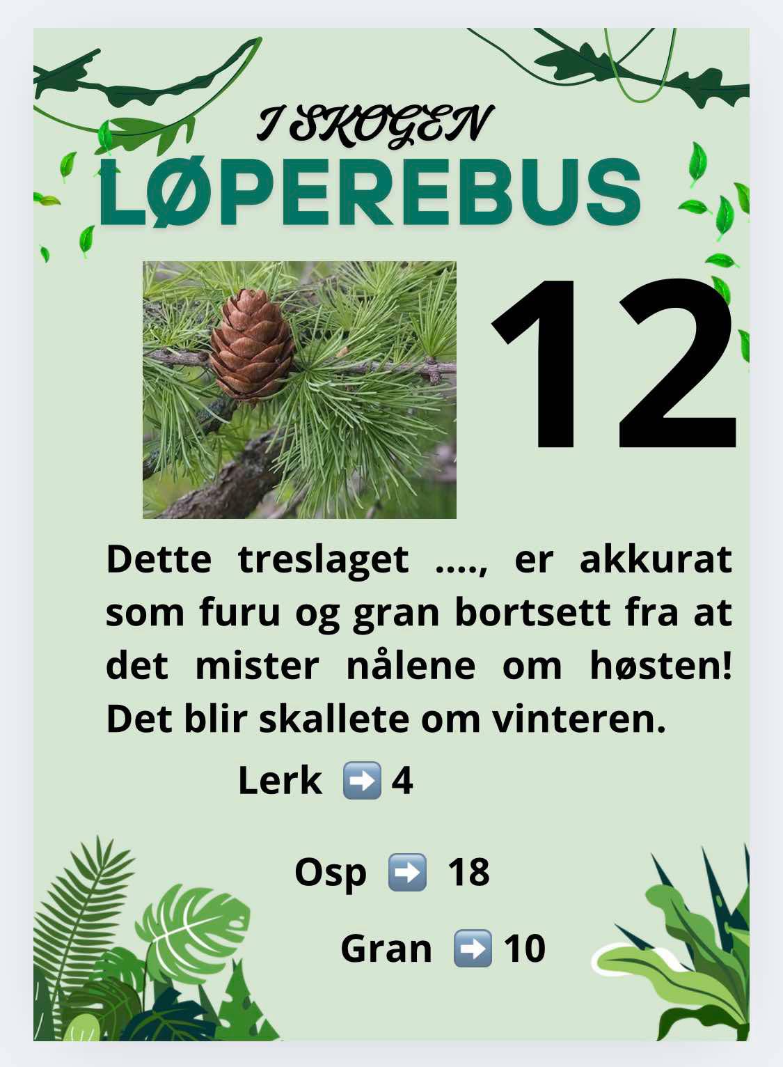 Løperebus i skogen - Norske trær - Bilde 2