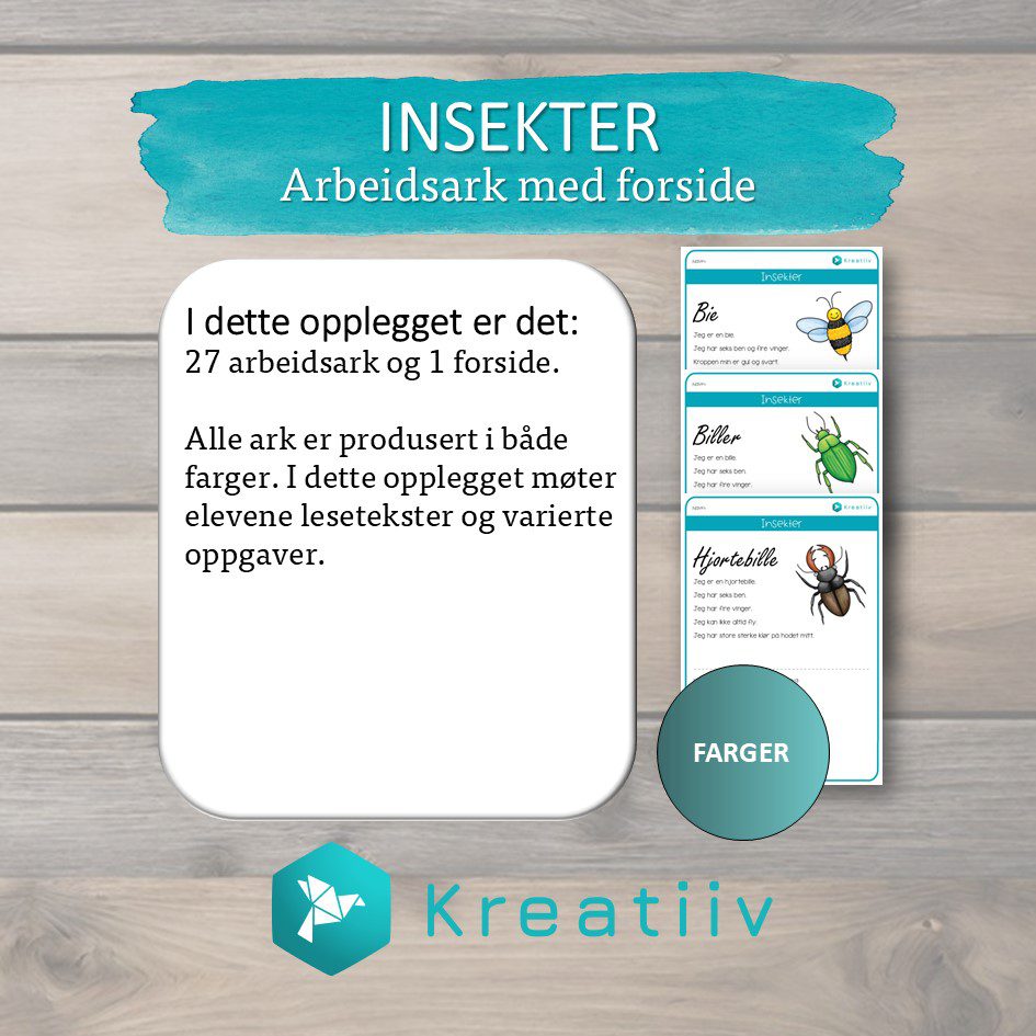 Insekter - Bilde 3