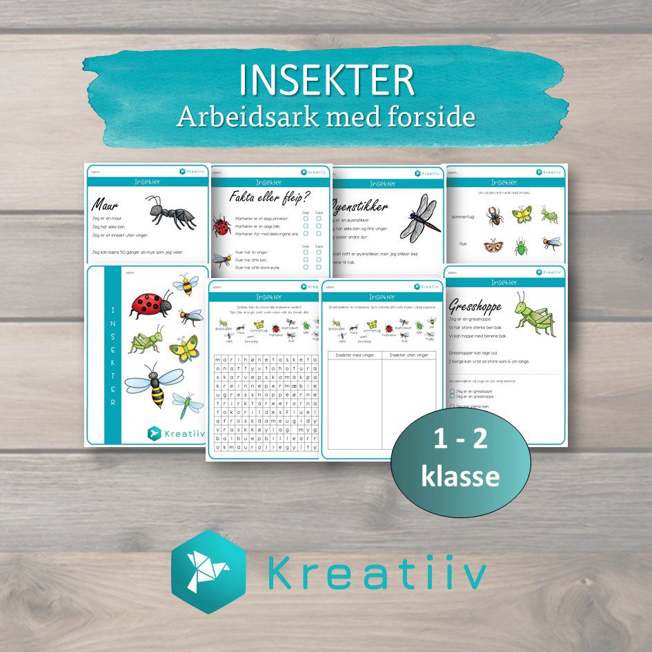 Insekter - Bilde 2