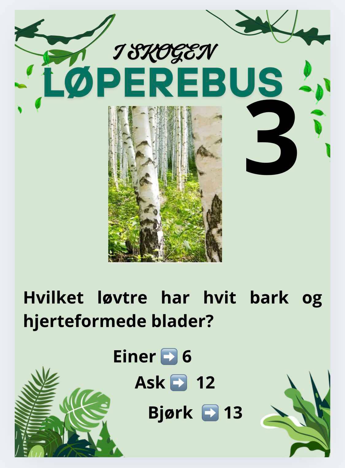 Løperebus i skogen - Norske trær - Bilde 10