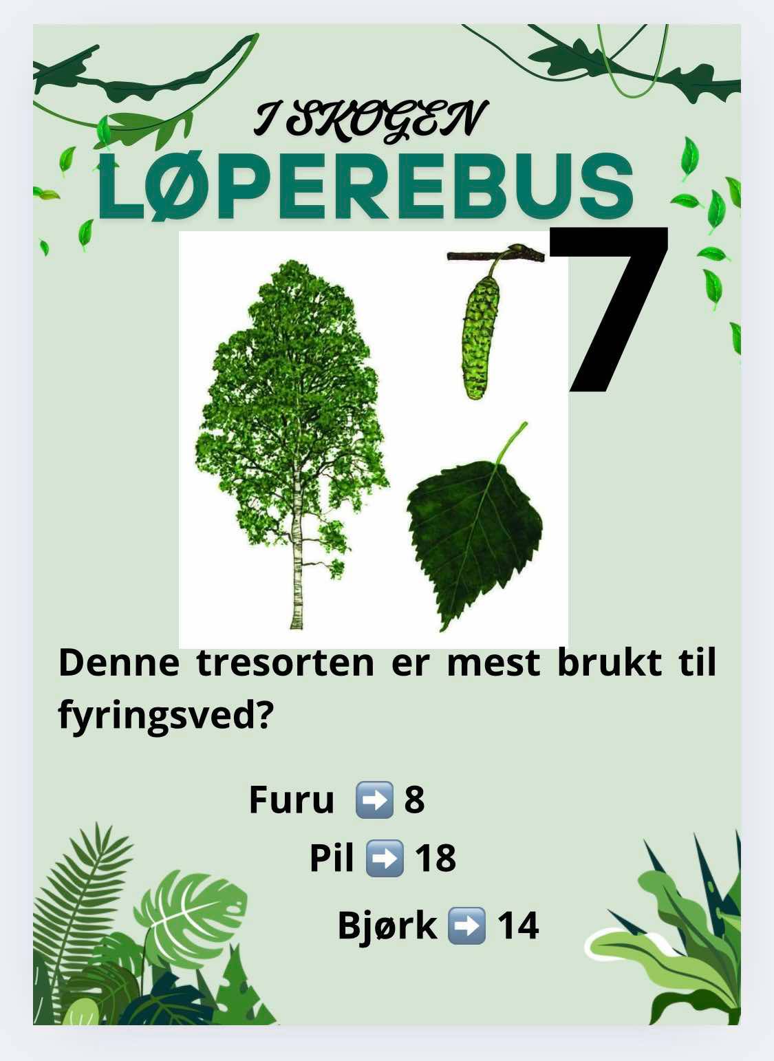 Løperebus i skogen - Norske trær - Bilde 6
