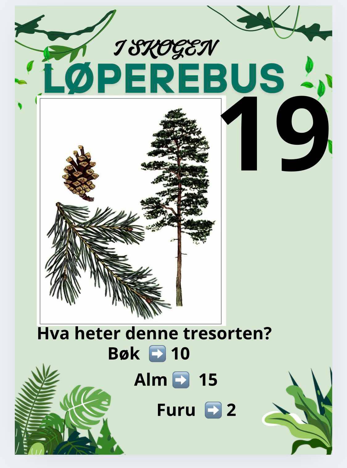 Løperebus i skogen - Norske trær - Bilde 7