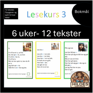 Lesekurs 3
