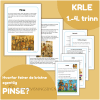Pinse - 1.-4. trinn