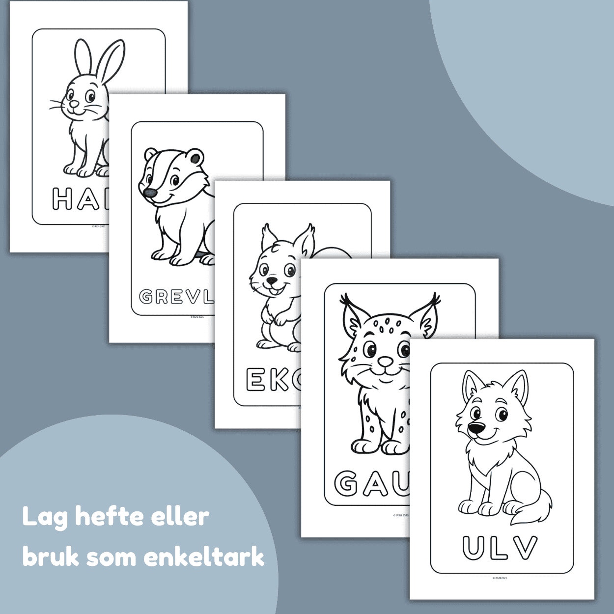 Dyrene i skogen - FARGELEGGINGSHEFTE - BARNEHAGE OG SKOLE - Bilde 2