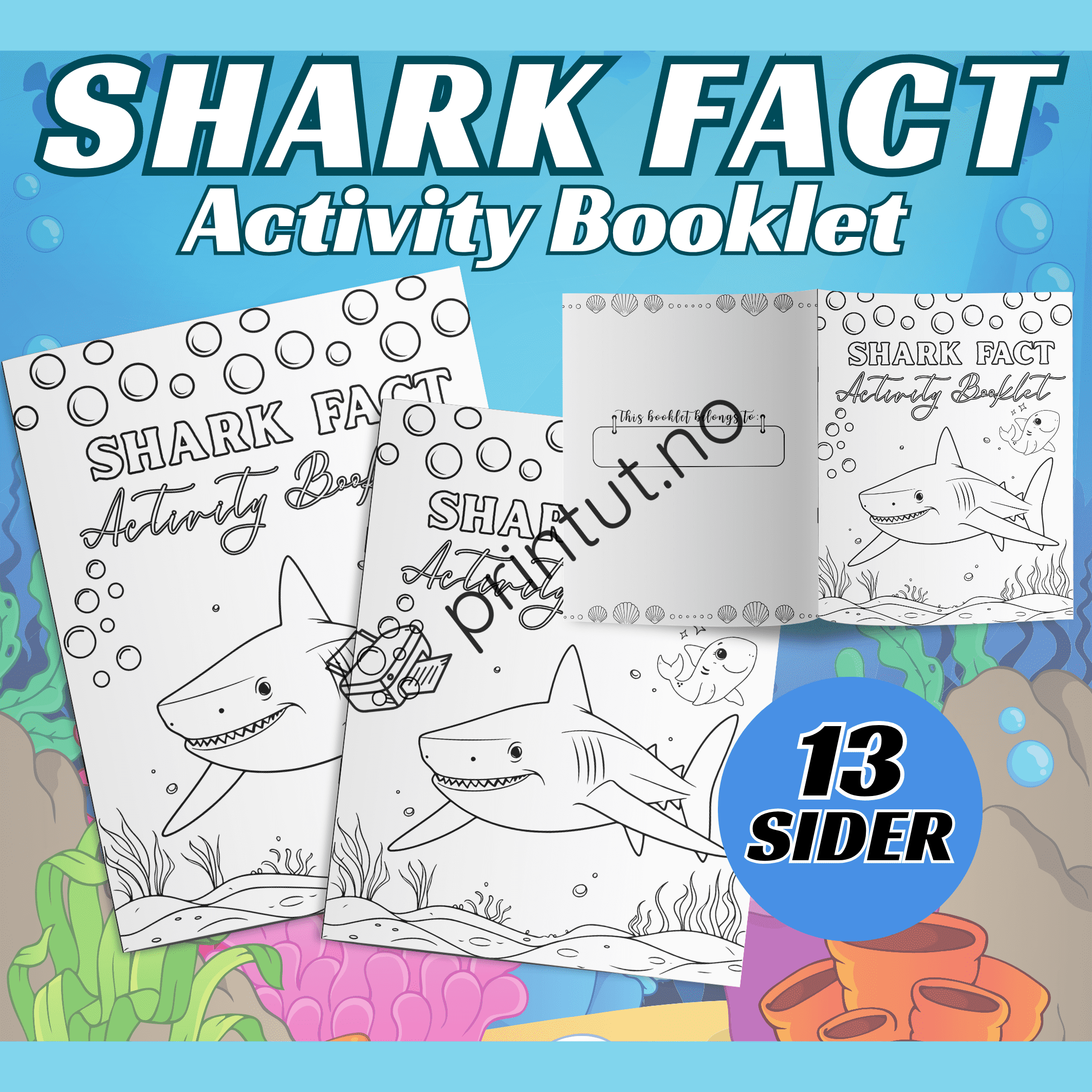 Sharck fact activitiy booklet
